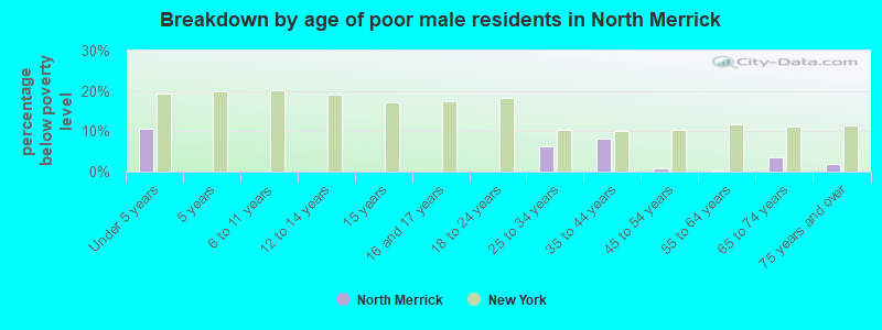Breakdown by age of poor male residents in North Merrick