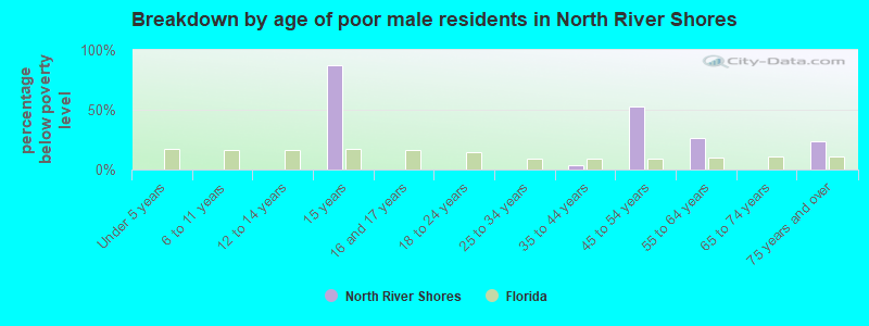 Breakdown by age of poor male residents in North River Shores