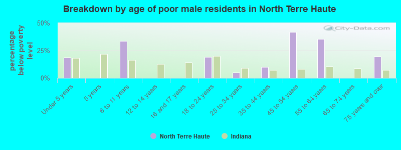 Breakdown by age of poor male residents in North Terre Haute