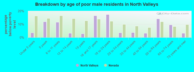 Breakdown by age of poor male residents in North Valleys