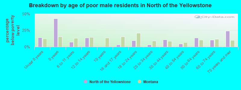 Breakdown by age of poor male residents in North of the Yellowstone