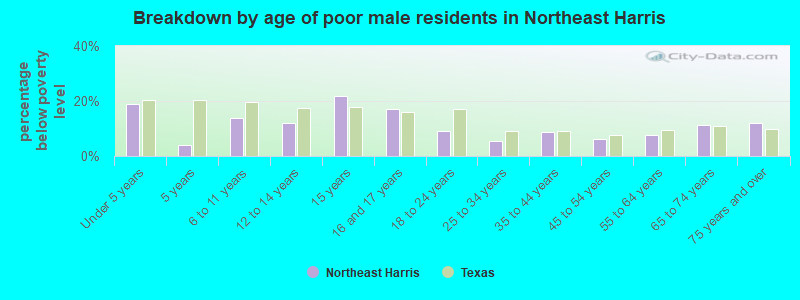 Breakdown by age of poor male residents in Northeast Harris