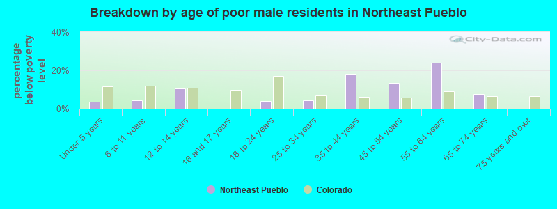 Breakdown by age of poor male residents in Northeast Pueblo