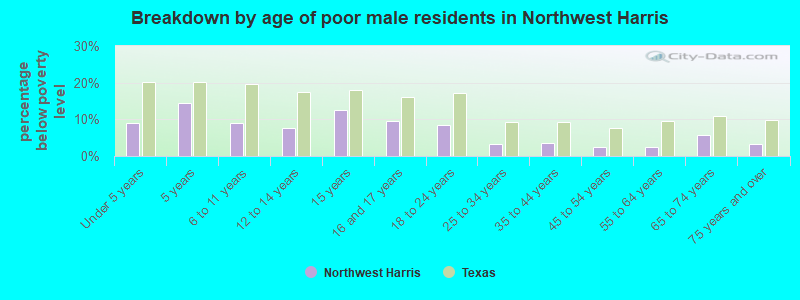 Breakdown by age of poor male residents in Northwest Harris