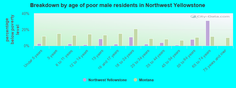 Breakdown by age of poor male residents in Northwest Yellowstone