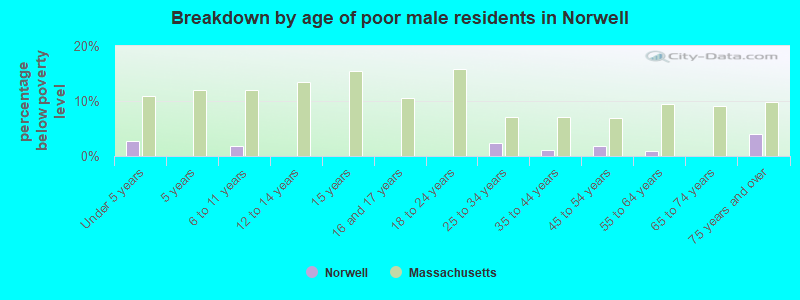 Breakdown by age of poor male residents in Norwell