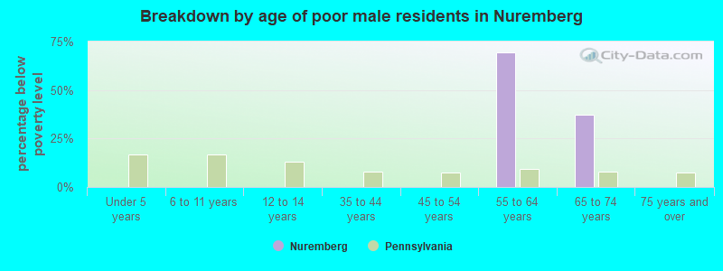 Breakdown by age of poor male residents in Nuremberg