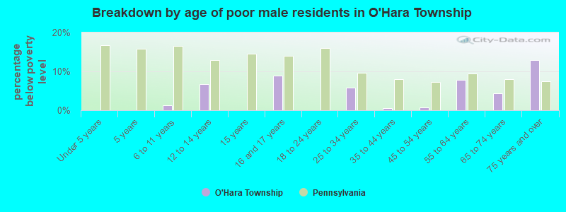 Breakdown by age of poor male residents in O'Hara Township