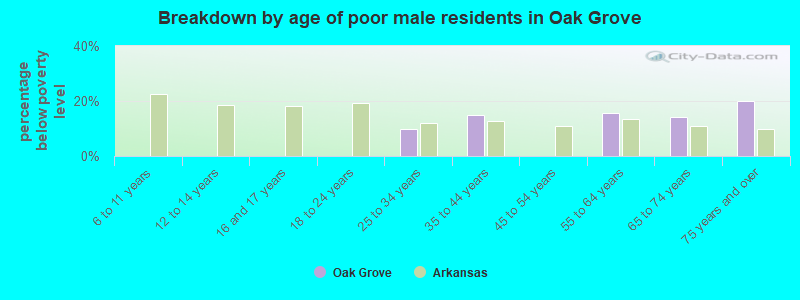 Breakdown by age of poor male residents in Oak Grove