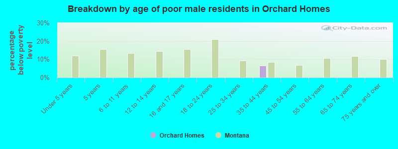 Breakdown by age of poor male residents in Orchard Homes