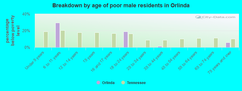 Breakdown by age of poor male residents in Orlinda