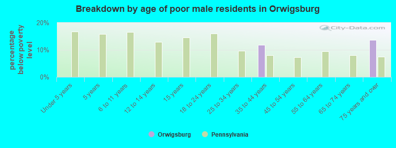 Breakdown by age of poor male residents in Orwigsburg