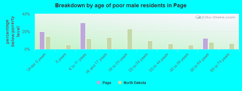 Breakdown by age of poor male residents in Page
