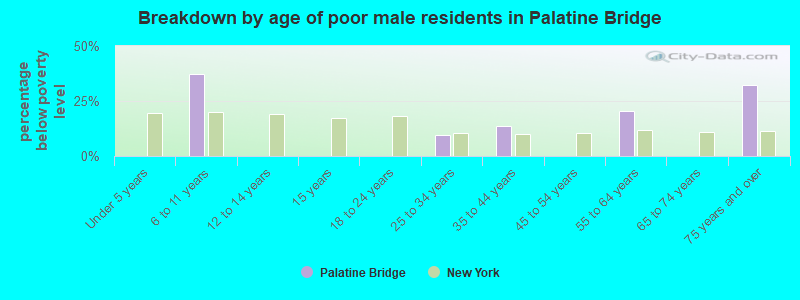 Breakdown by age of poor male residents in Palatine Bridge