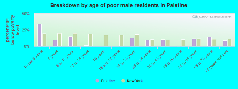 Breakdown by age of poor male residents in Palatine
