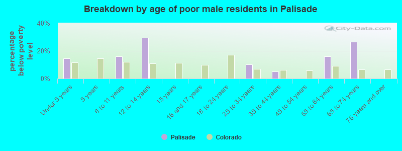 Breakdown by age of poor male residents in Palisade