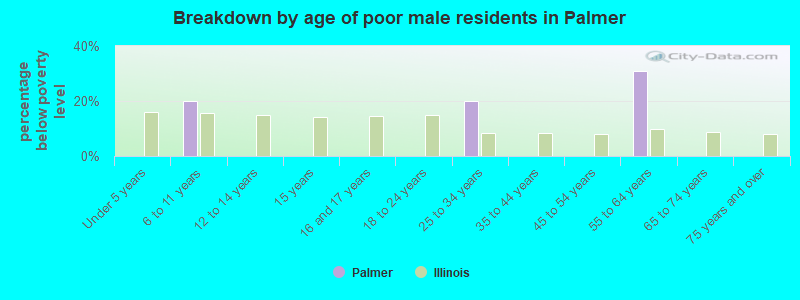 Breakdown by age of poor male residents in Palmer