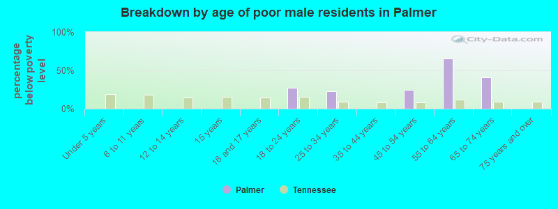 Breakdown by age of poor male residents in Palmer