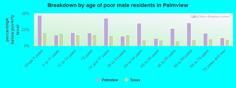Breakdown by age of poor male residents in Palmview