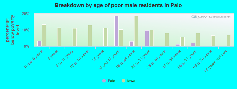 Breakdown by age of poor male residents in Palo