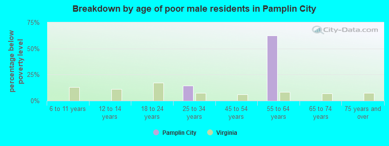 Breakdown by age of poor male residents in Pamplin City