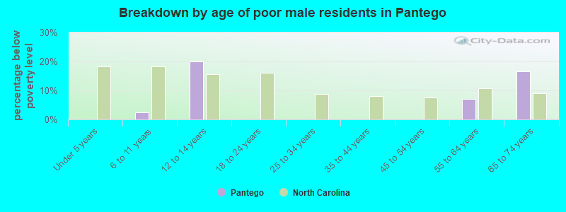 Breakdown by age of poor male residents in Pantego