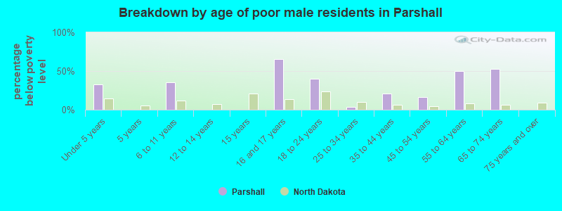 Breakdown by age of poor male residents in Parshall