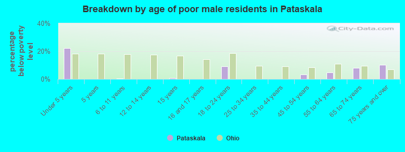Breakdown by age of poor male residents in Pataskala