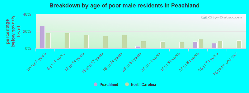 Breakdown by age of poor male residents in Peachland