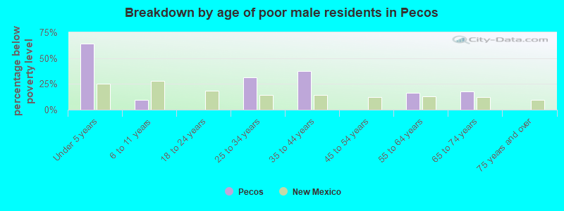 Breakdown by age of poor male residents in Pecos