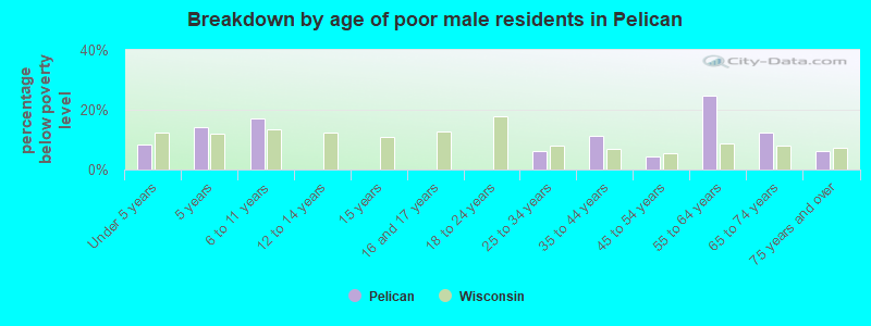 Breakdown by age of poor male residents in Pelican