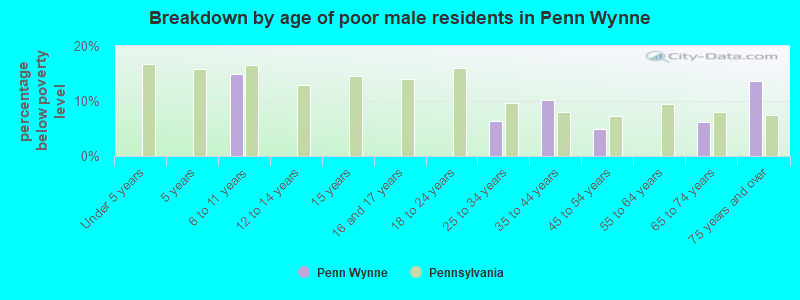 Breakdown by age of poor male residents in Penn Wynne