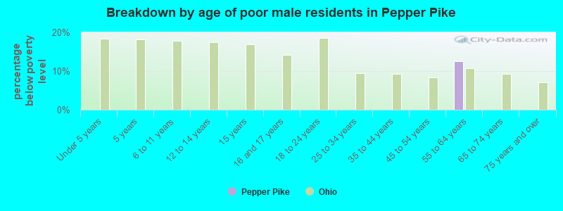 Breakdown by age of poor male residents in Pepper Pike