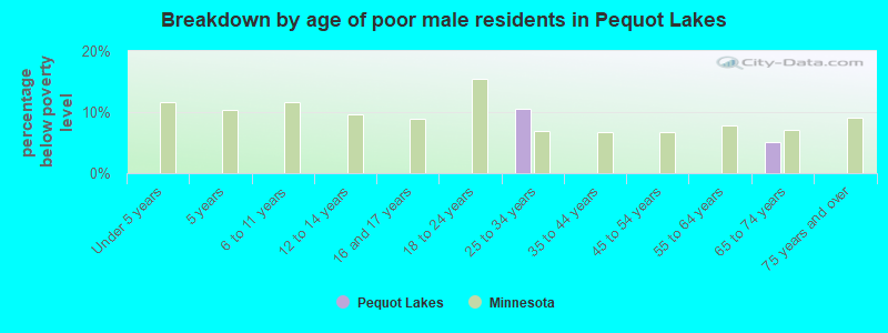 Breakdown by age of poor male residents in Pequot Lakes