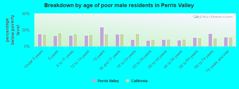 Breakdown by age of poor male residents in Perris Valley