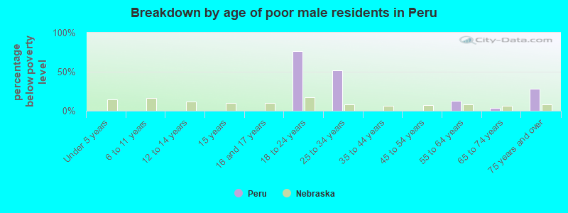 Breakdown by age of poor male residents in Peru