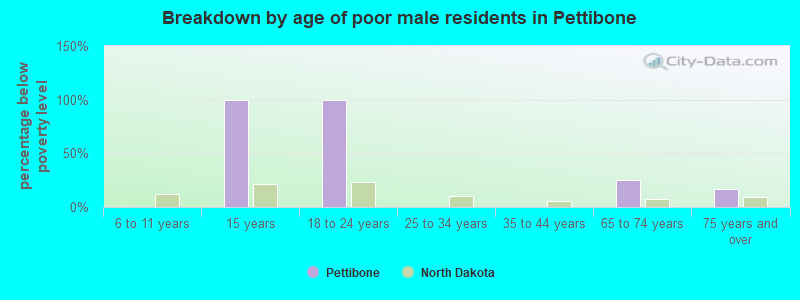 Breakdown by age of poor male residents in Pettibone