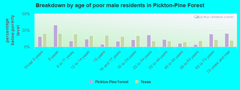 Breakdown by age of poor male residents in Pickton-Pine Forest