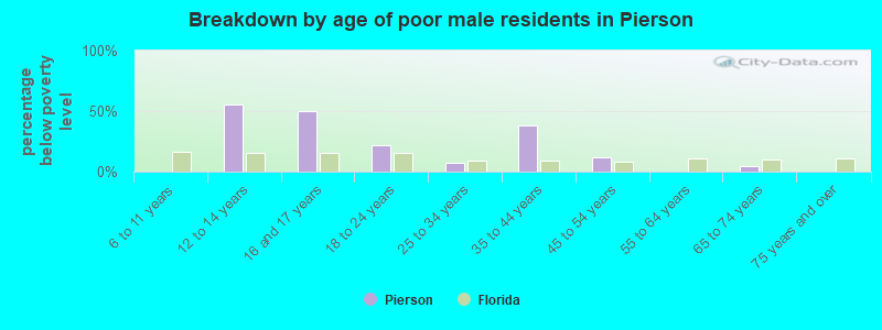 Breakdown by age of poor male residents in Pierson
