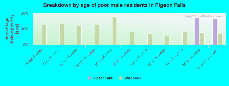 Breakdown by age of poor male residents in Pigeon Falls