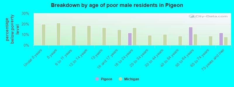 Breakdown by age of poor male residents in Pigeon