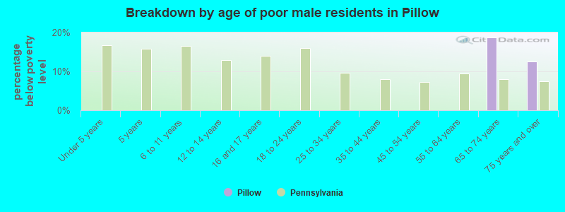 Breakdown by age of poor male residents in Pillow