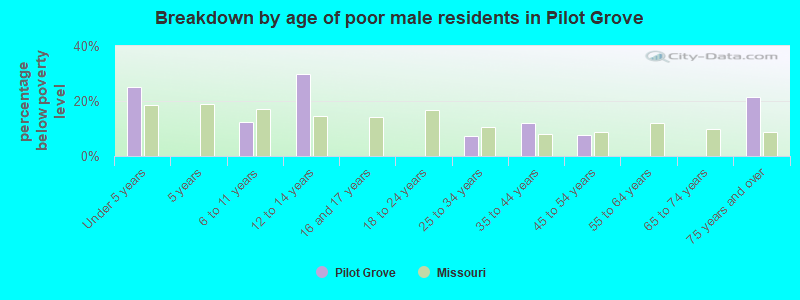 Breakdown by age of poor male residents in Pilot Grove