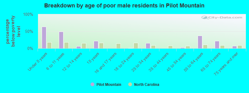 Breakdown by age of poor male residents in Pilot Mountain