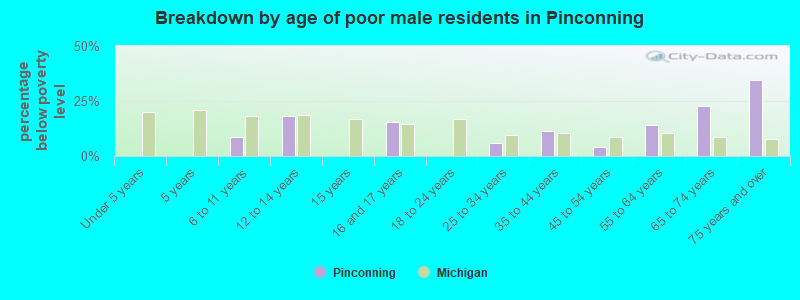 Breakdown by age of poor male residents in Pinconning