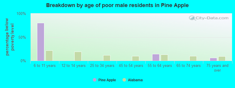 Breakdown by age of poor male residents in Pine Apple