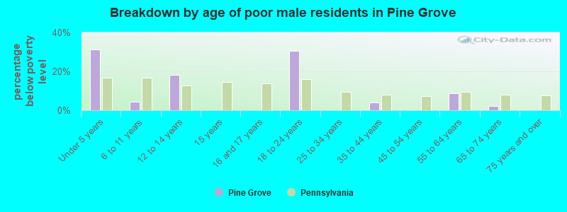 Breakdown by age of poor male residents in Pine Grove