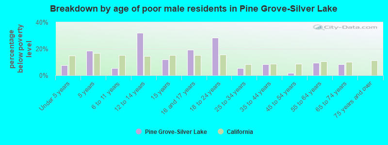 Breakdown by age of poor male residents in Pine Grove-Silver Lake