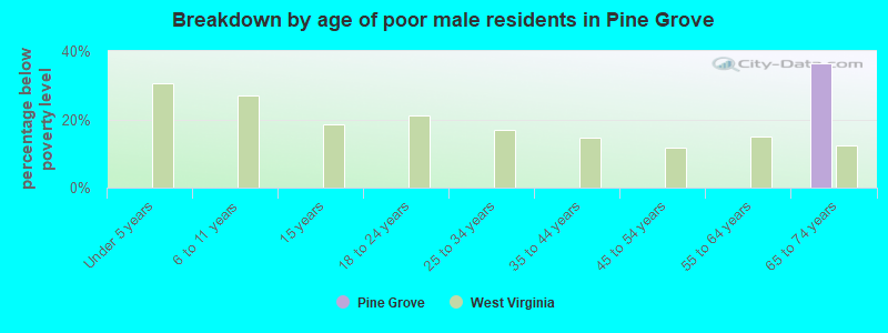 Breakdown by age of poor male residents in Pine Grove