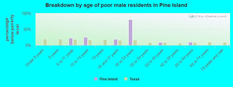 Breakdown by age of poor male residents in Pine Island